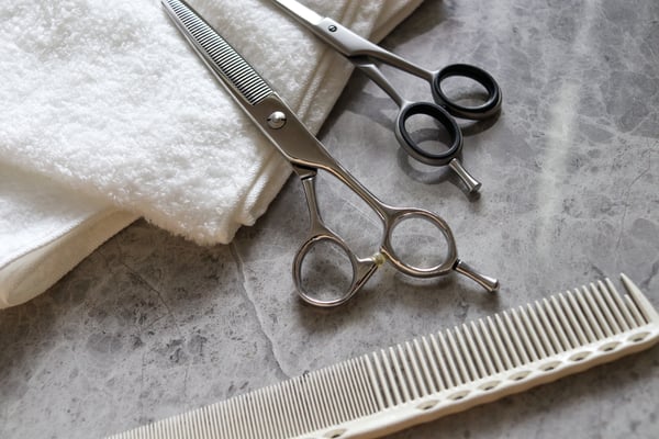 AdobeStock_426323146