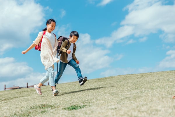 AdobeStock_452813524