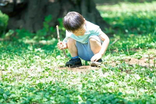 AdobeStock_630818455